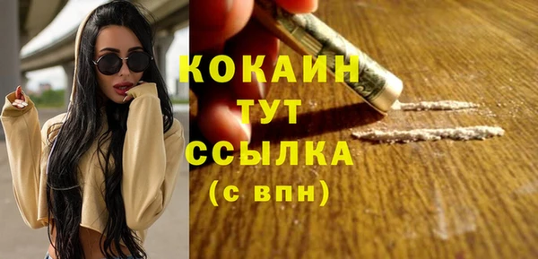 прущая мука Арсеньев